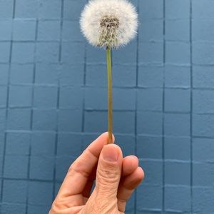 Meet your Posher, Solange